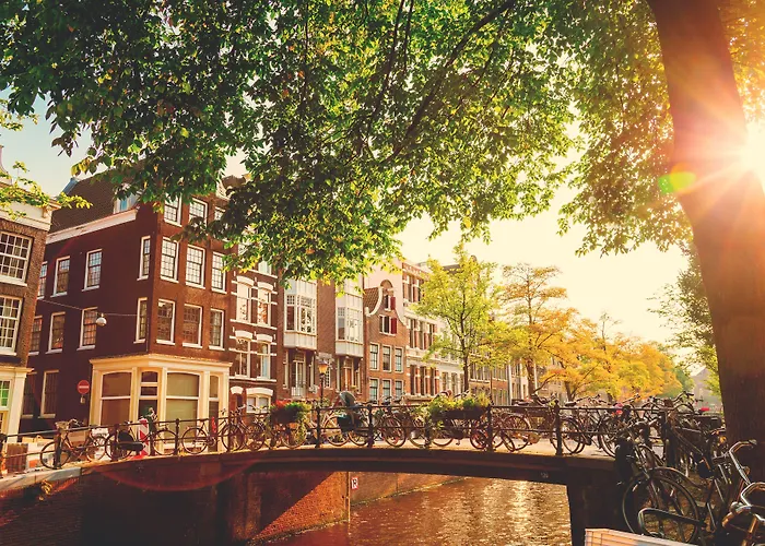 Albergue Flying Pig Uptown Ámsterdam